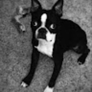 Meet your Posher, Drew